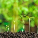 Proteger el medio ambiente con el reciclaje