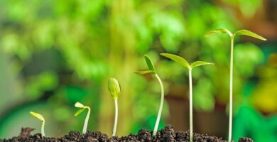 Proteger el medio ambiente con el reciclaje 5 Proteger el medio ambiente con el reciclaje