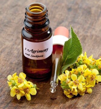 ¿En qué consiste la terapia floral de Bach?