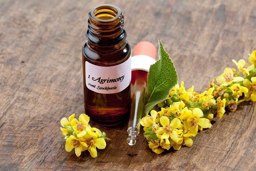 ¿En qué consiste la terapia floral de Bach? 1 ¿En qué consiste la terapia floral de Bach?