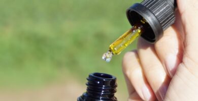 Salud y Bienestar: El Poder del Aceite de Cannabis