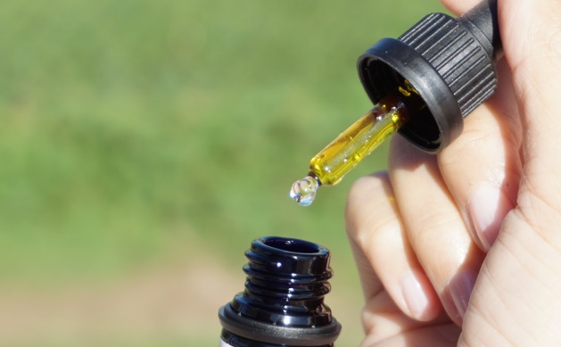 Salud y Bienestar: El Poder del Aceite de Cannabis 1 Salud y Bienestar: El Poder del Aceite de Cannabis