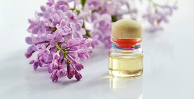 Lo que debes saber de los beneficios del Ayurveda para tu bienestar 4 Lo que debes saber de los beneficios del Ayurveda para tu bienestar